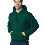 Heavy Blend hooded sweatshirt